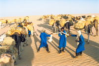 imagen_2024-04-15_131259731